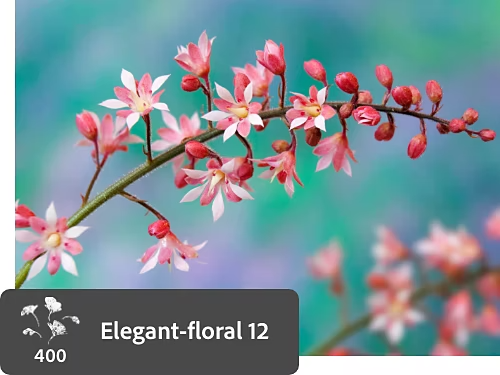 A flower brush created from a photo of a flower.