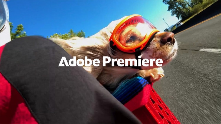 https://main--cc--adobecom.aem.page/cc-shared/fragments/modals/videos/products/premiere/adobe-youtube#play-video | | :play: