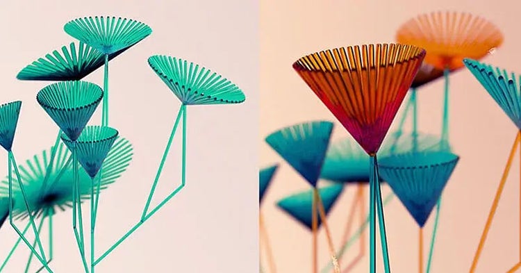 3D art of abstract translucent stems and fanned spokes