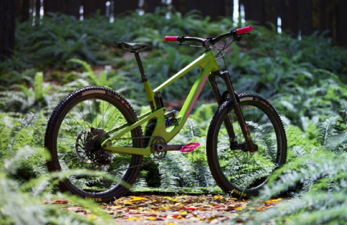 green mountain bike in a forest