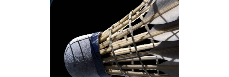 3D rendering of shuttlecock and racket