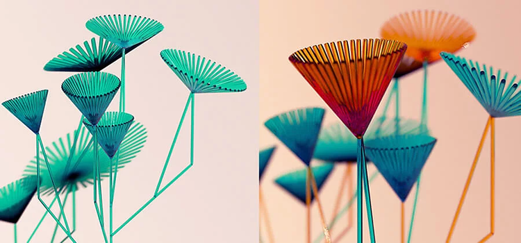 3D art of abstract translucent stems and fanned spokes