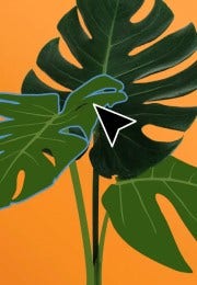 Imagem vetorial delineada de grandes folhas de plantas