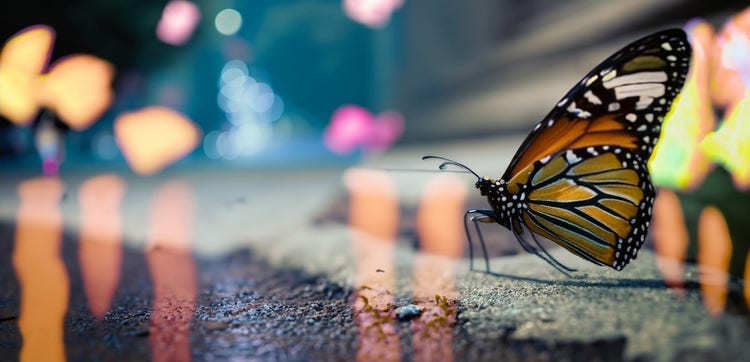 Imagem de borboleta gerada por IA