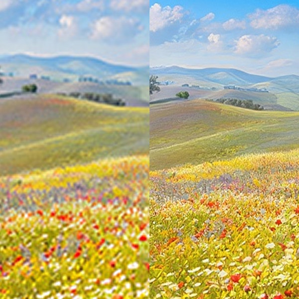 Duas imagens idênticas de um campo florido são mostradas lado a lado. A imagem da direita apresenta maior riqueza de detalhes devido ao aprimoramento.