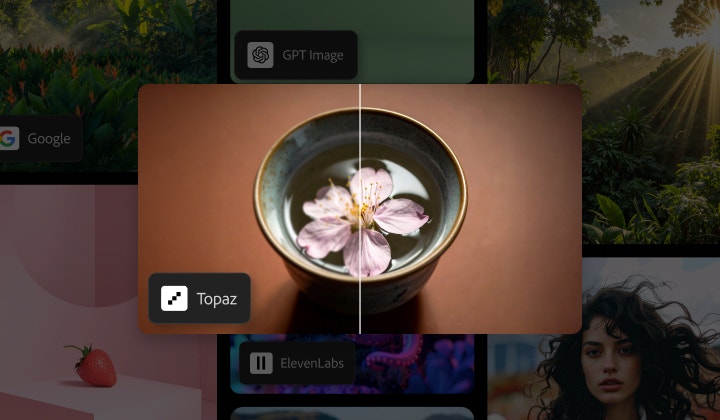 Colagem com imagem dividida de uma flor de cerejeira em uma tigela. O lado direito da imagem fica mais nítido graças à ferramenta de aprimoramento de vídeo Topaz Astra.
