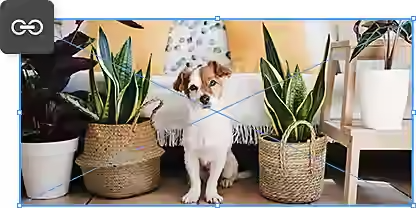 Mantenha a proporção entre as camadas ao mover objetos e girar diferentes partes das imagens