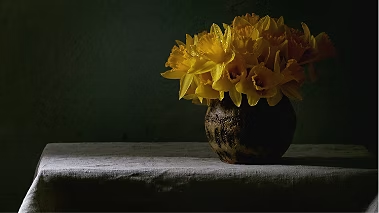 Picture 313529467, Picture