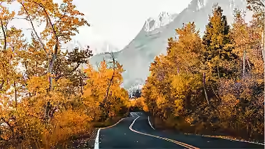 Picture 586487833, Picture