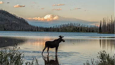 Picture 92463778, Picture