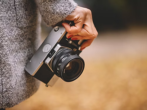 Picture 518137740, Picture