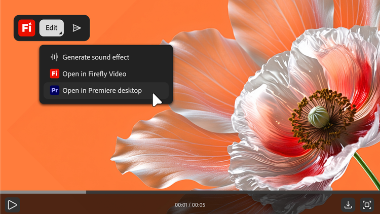 Se inserează imaginea…