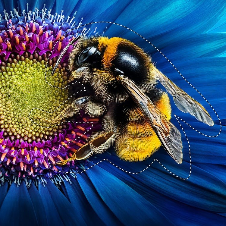 Yellow bee | Generate