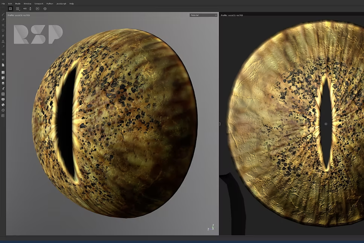 3d eye model from video using videogrammetry