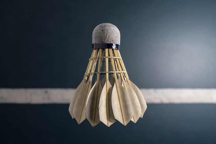3D rendering of shuttlecock