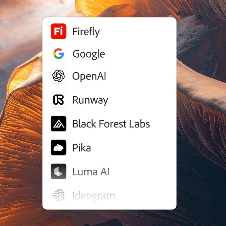 En del av de AI-modeller som finns tillgängliga i Firefly, inklusive Firefly, Google, OpenAI, Runway, Black Forest Labs, Pika, Luma AI och Ideogram.