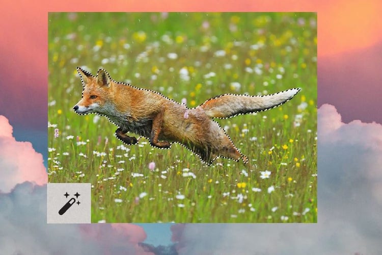 3. Extrahera objekt som ska kombineras, Bild