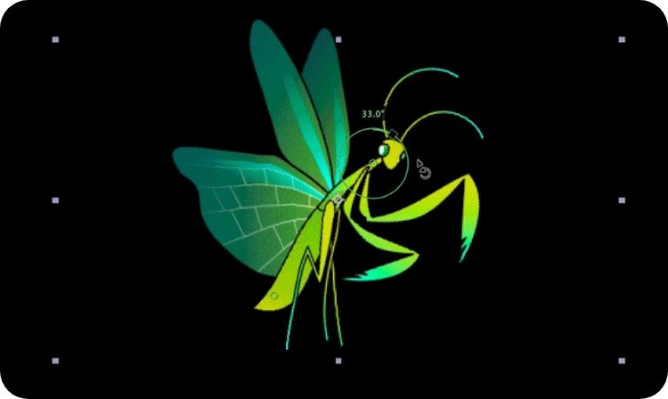 Inserting image... Drawing of a fantasy bug