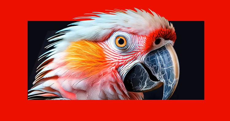 Generator videoposnetkov z UI