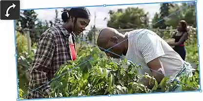 Uporabite orodje Prosto preoblikovanje v Photoshopu za popolno manipulacijo sukanja ali nagiba slike