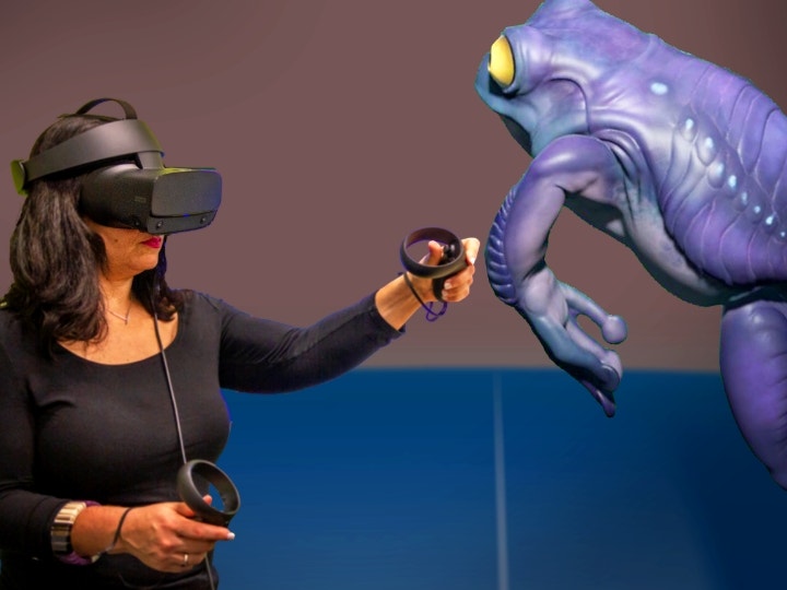 Person viewing a 3D model of a frog using VR technology