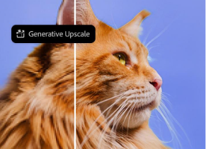 https://main--cc--adobecom.aem.page/cc-shared/assets/video/product/photoshop/max2025/media_1e653ddf52851e647c436ebd02cf2f891e33b1b55.mp4#_autoplay1 | Short video highlighting Generative Upscale.