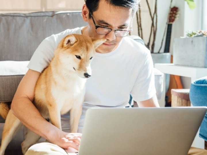 An image of a man with a dog using a laptop to search a PDF document.