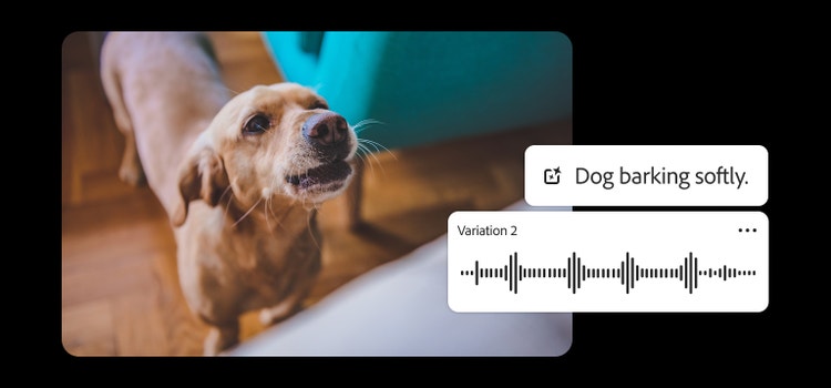 Havlayan küçük bir köpek ve yapay zeka destekli ses oluşturucu arayüzü, Firefly ile gerçekçi köpek havlama ses efektlerinin nasıl oluşturulacağını gösteriyor.