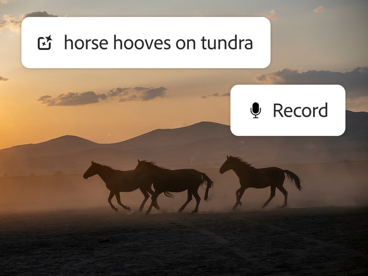 Arkalarında gölgeli dağlarla gün batımında siluet halinde dörtnala koşan üç at ve "tundrada at toynak sesleri" istemi.