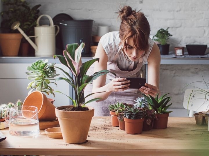 A boutique nursery owner taking a photo of their new product for social media on the workbench in their shop surrounded by other plants