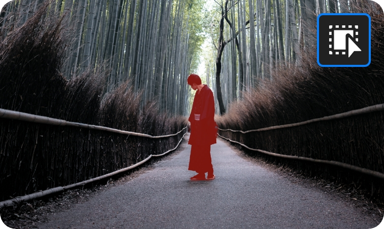 正在插入影像…