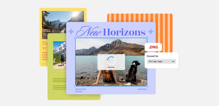 Converting DNG to JPS illustration