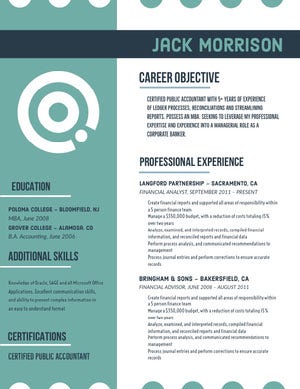 Teal Accountant Resume Resume Examples