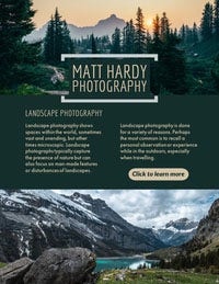 Light, Cold Toned Landscape Photography Newsletter Newsletter Examples