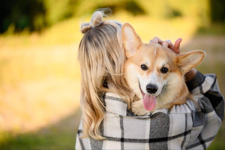 Pet portrait ideas for cat and dog pictures | Adobe Express