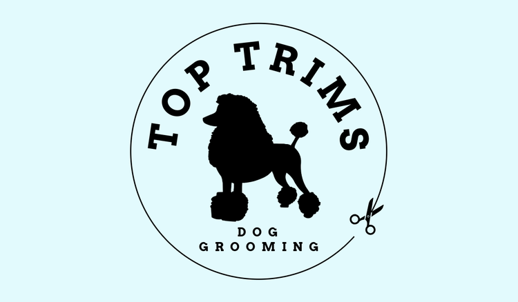 How to design a dog grooming logo for your business.