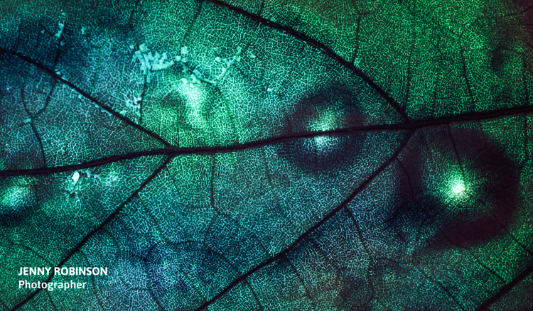 How to make a photography portfolio
