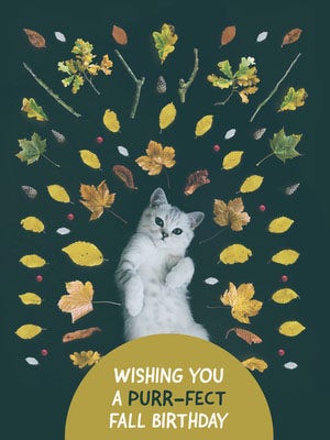 Green With Cat Wishing Card Happy Birthday Card Ideas