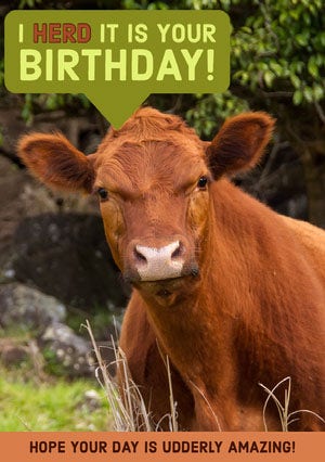 Funny Cow Pun Happy Birthday Card Happy Birthday Card Ideas