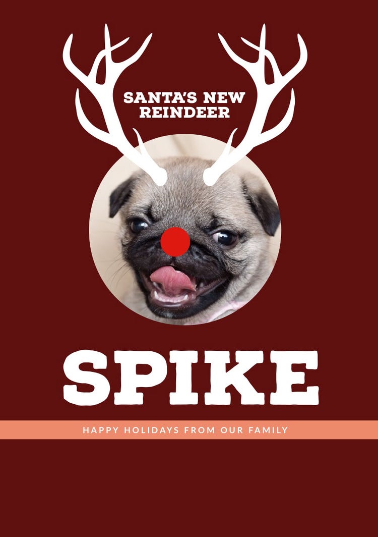 Brown and White Funny Christmas Card