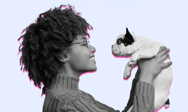 Soothing sayings for the loss of a pet to bring comfort and support