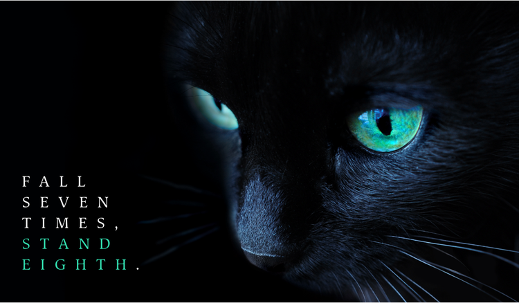 Cat quotes to capture the wit and charm of your feline friends