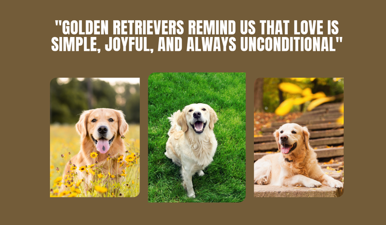 Dog quotes you will love and heartwarming wisdom about your pet