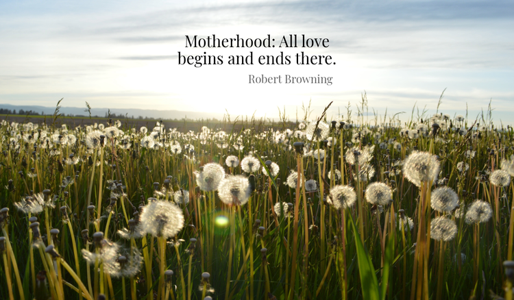 Unconditional love: mother and son quotes to celebrate a lifelong bond.