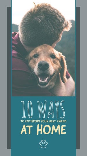 Blue Man with Dog Photo COVID-19 Pet Care Instagram Story Instagram Image Size