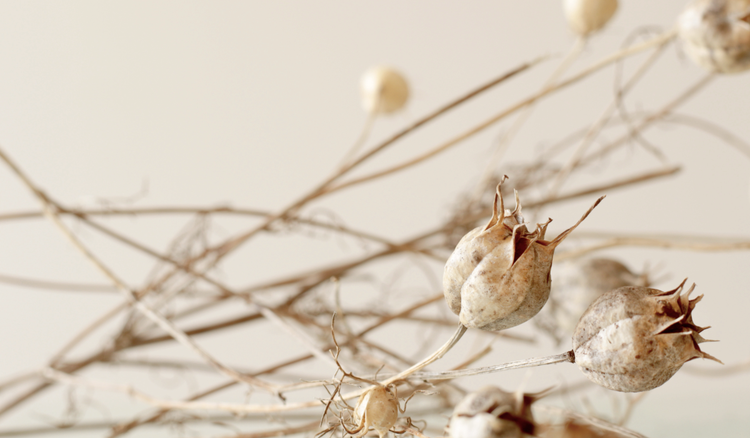 tips to create stunning aesthetic wallpapers for laptops and other devices
