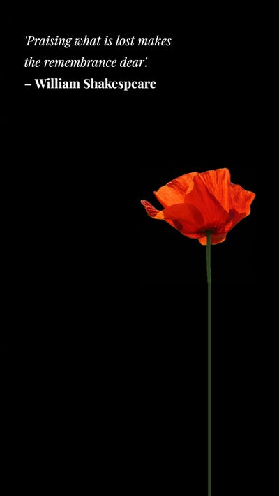 Black Red & White Poppy Shakespeare Quote Instagram Story