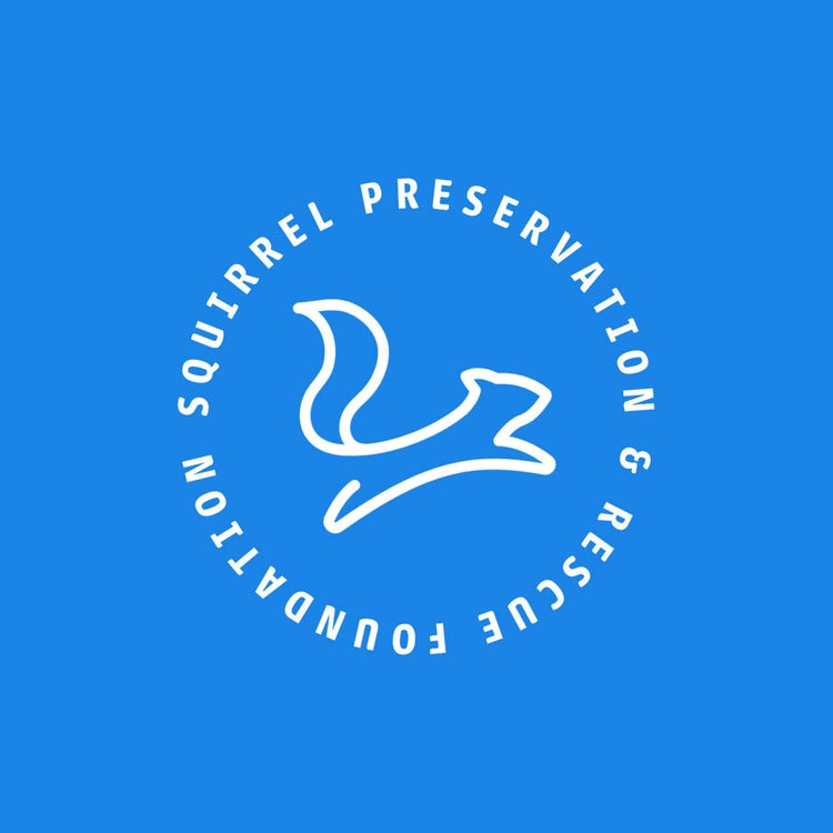 Blue White Squirrel Preservation Foundation Logo