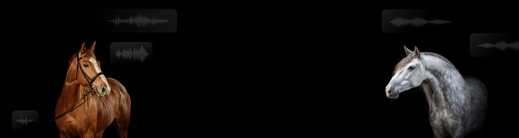Two horses with audio waveform overlays suggesting use of an AI sound effect generator to create horse sound effects.