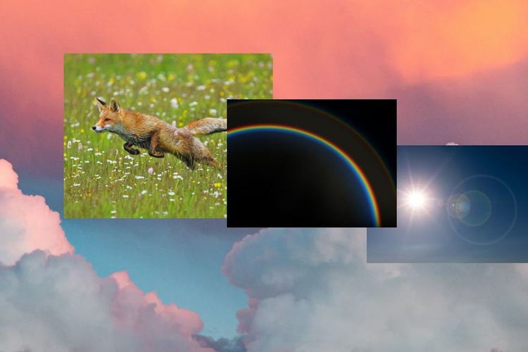 2. Select your background image., Picture
